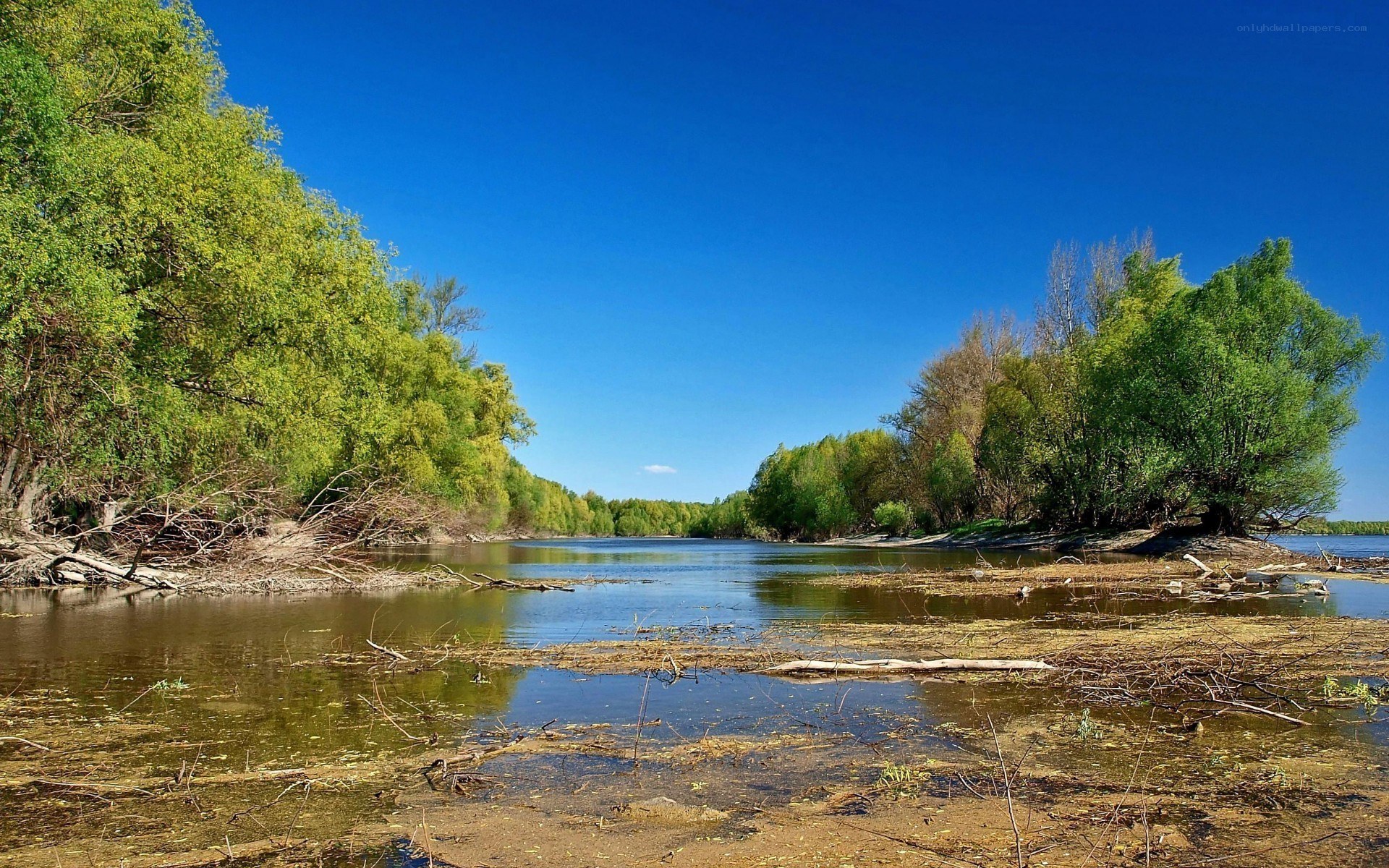 River landscape with green trees