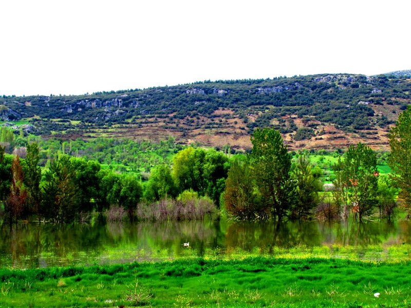 River Landscape with Hills — Green