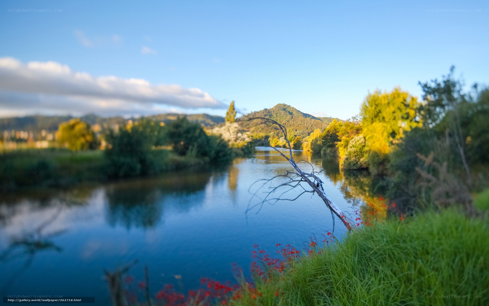 River landscape with mountains