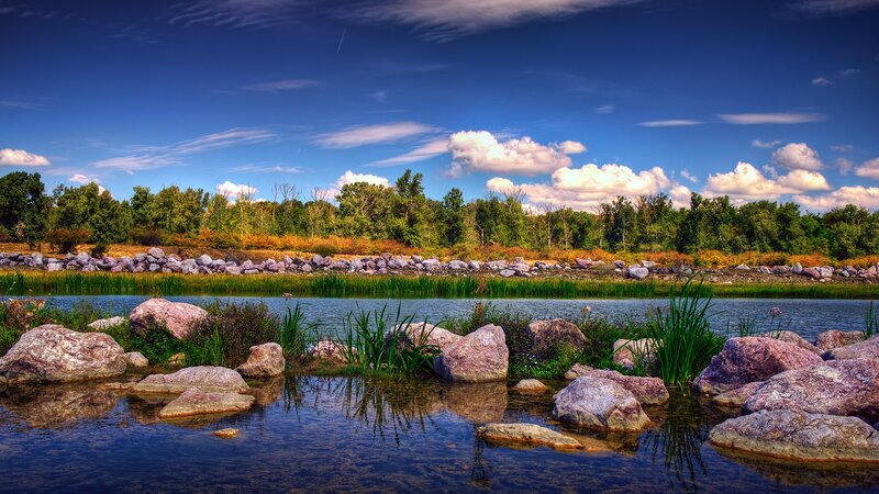 River landscape with rocks and trees