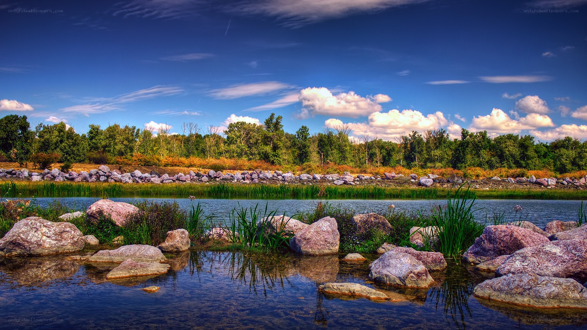 River landscape with rocks and trees