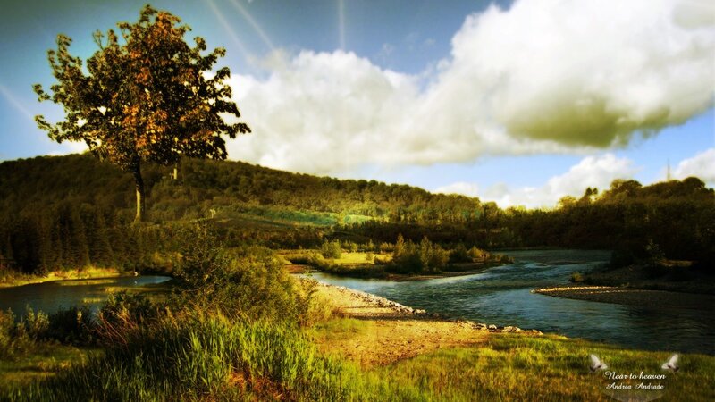 River Landscape with Tree