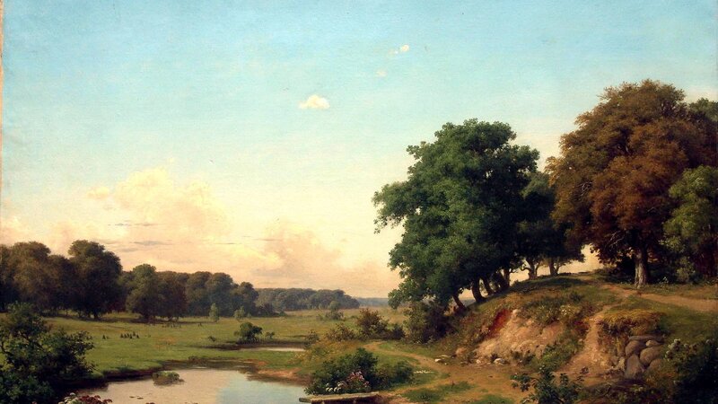 River landscape with trees