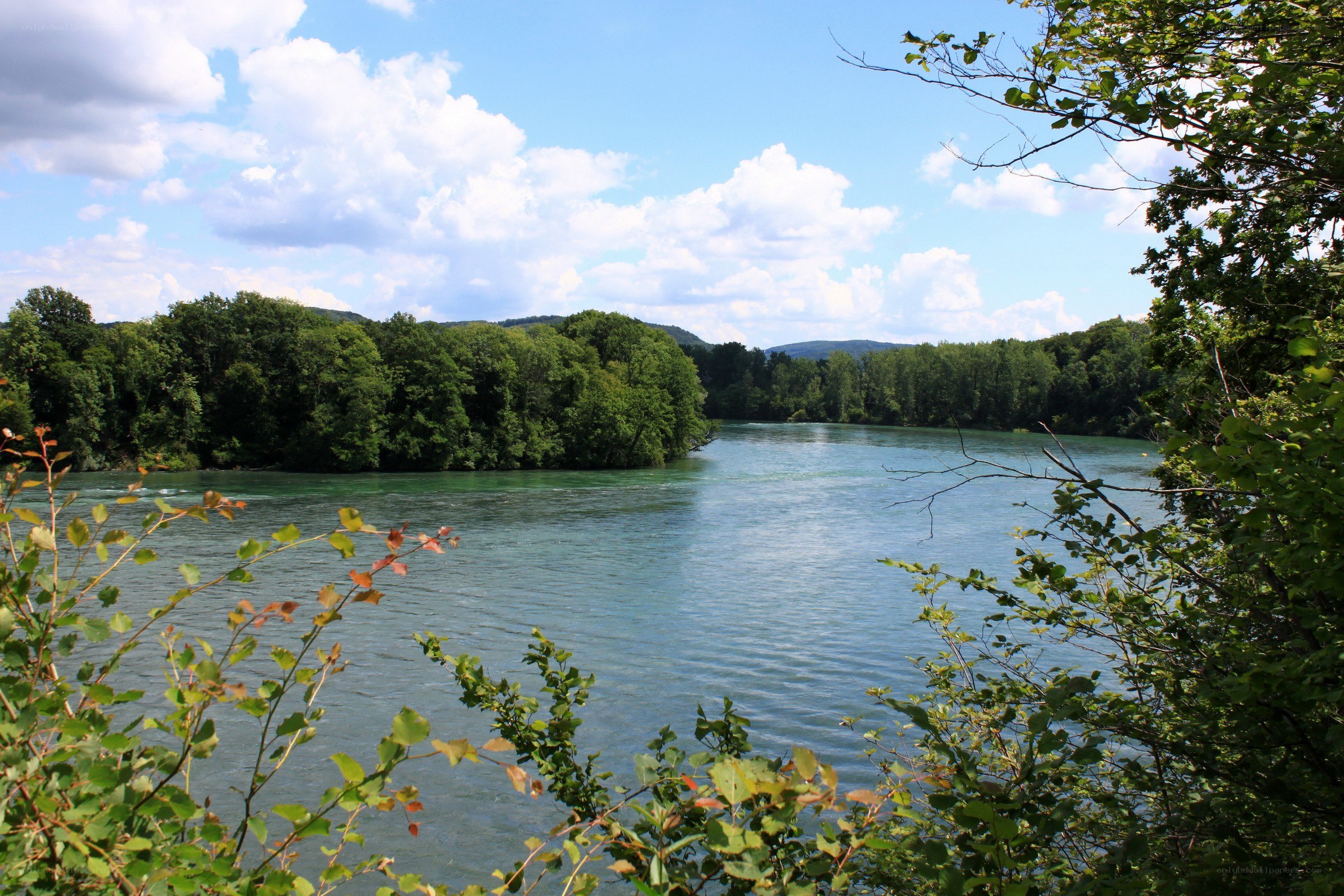 River landscape with trees