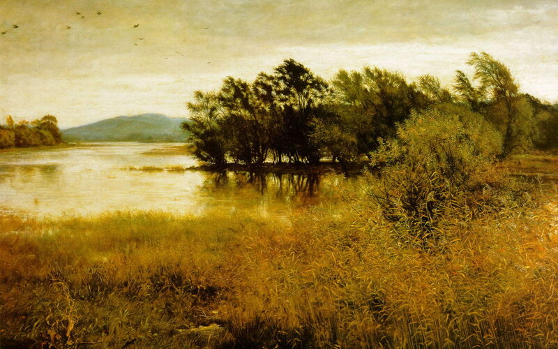River landscape with trees