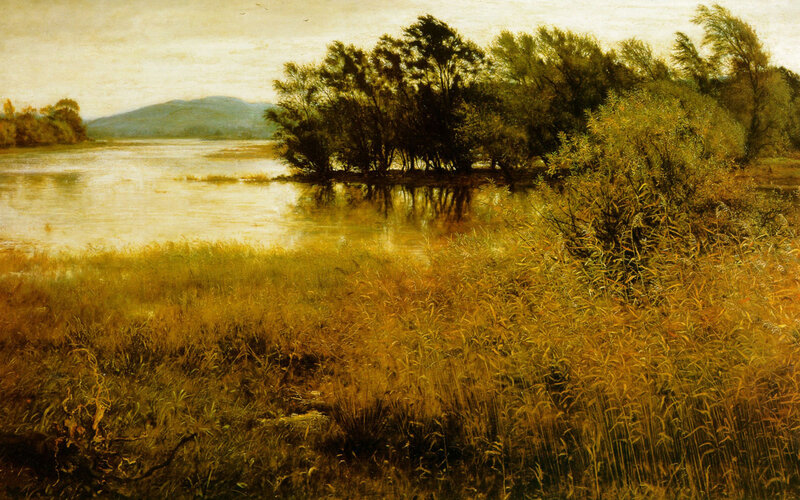 River landscape with trees