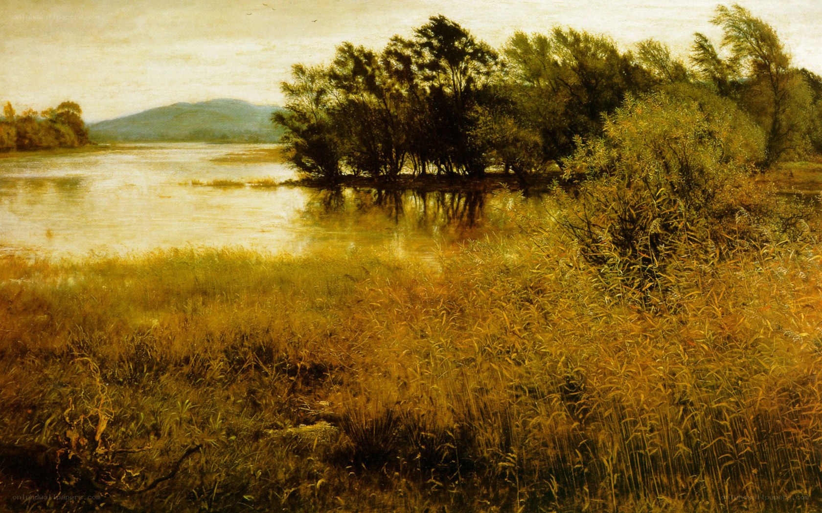 River landscape with trees