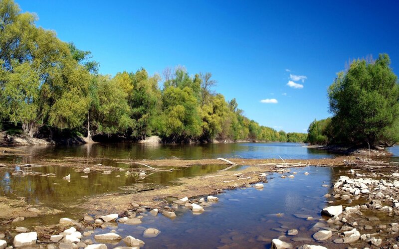 River landscape with trees