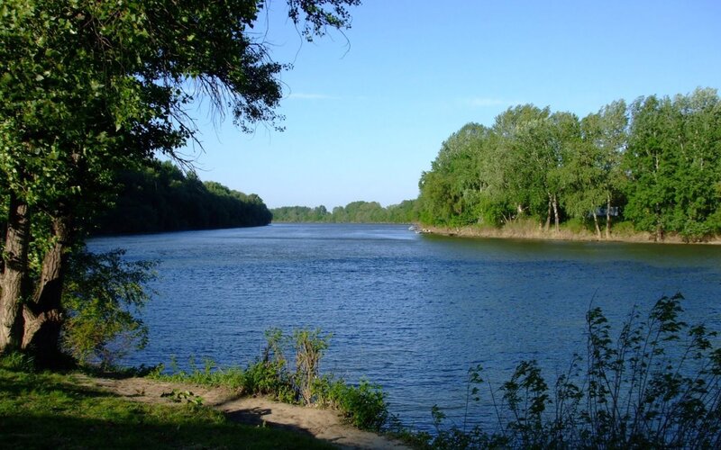 River landscape with trees