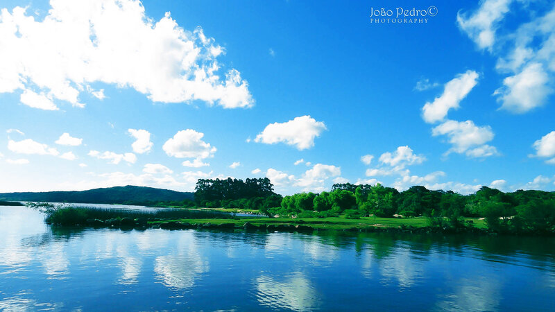 River Landscape with Trees — Blue, Serene, Afternoon, Photograph