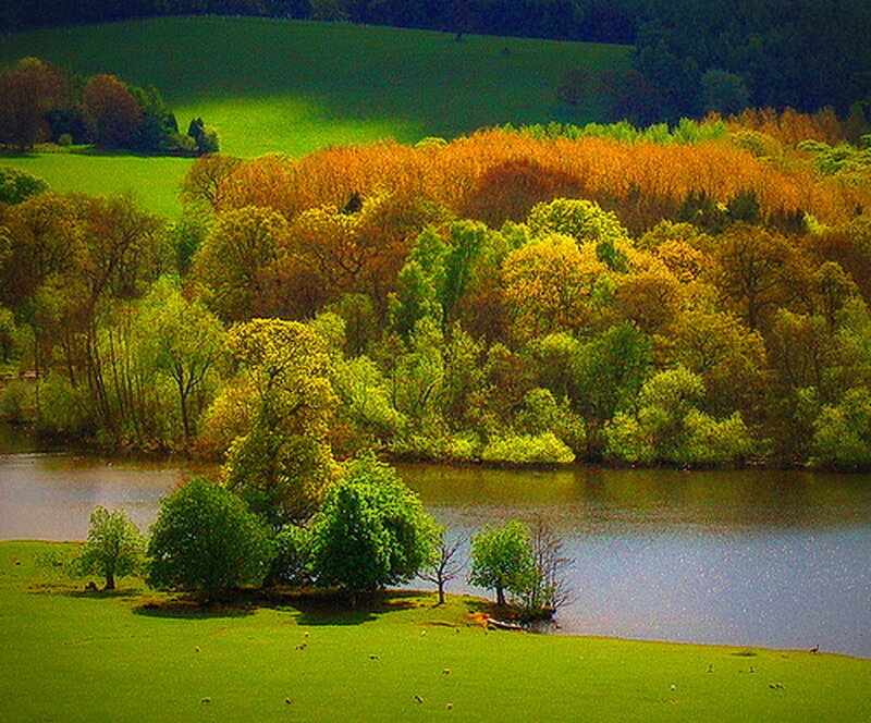 River Landscape with Trees — Green