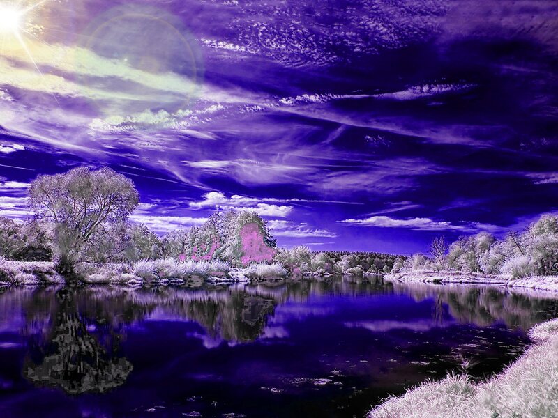 River Landscape with Trees — Purple