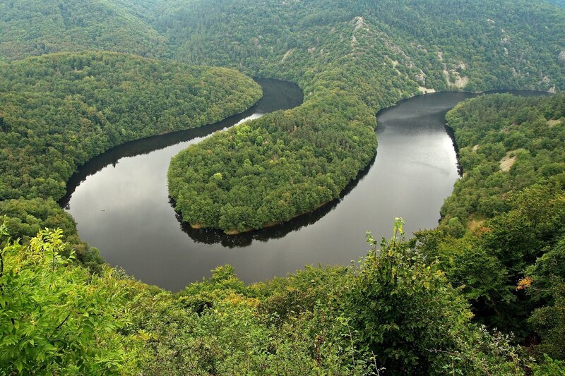 river meander in forested valley
