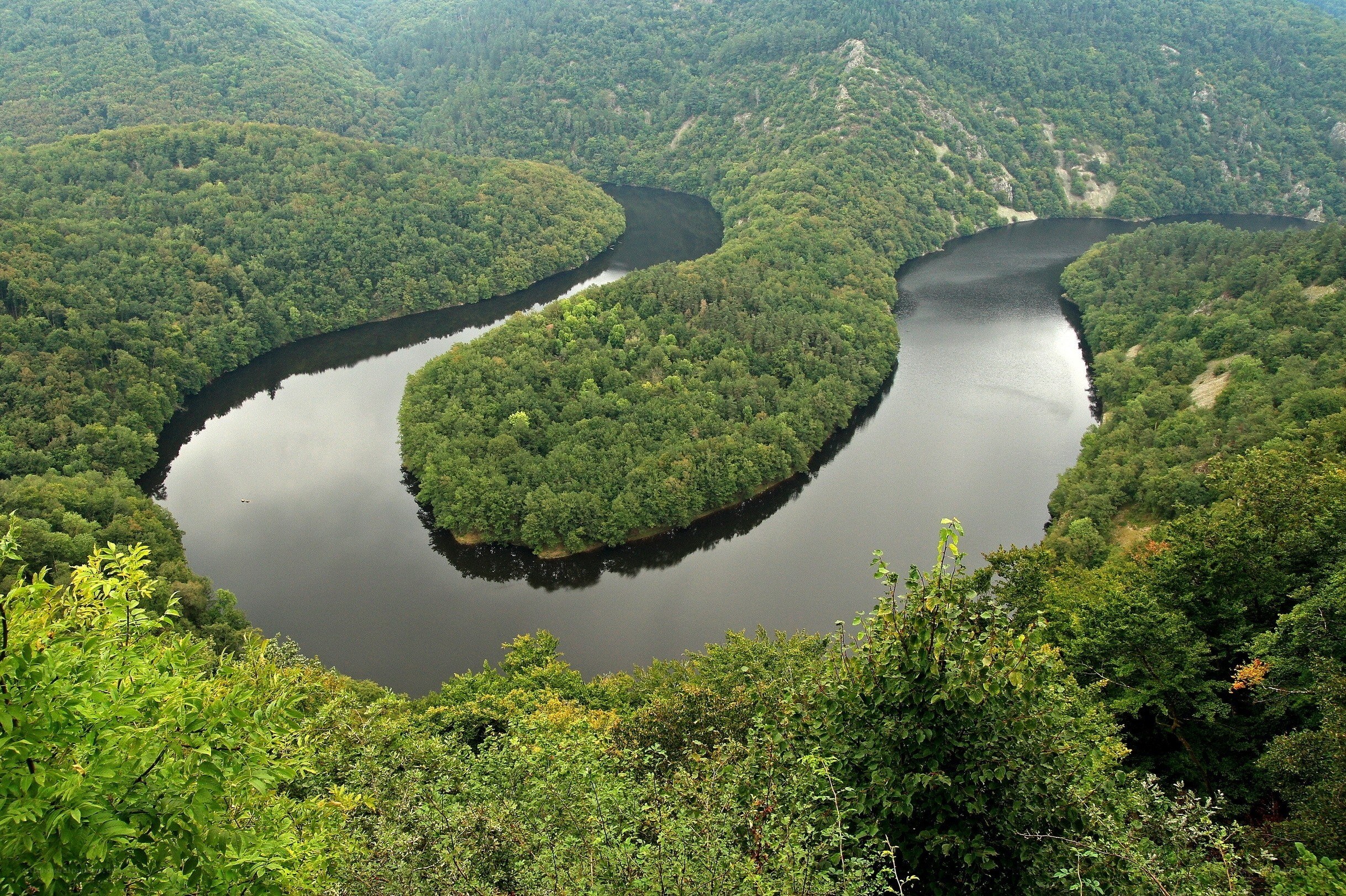 river meander in forested valley