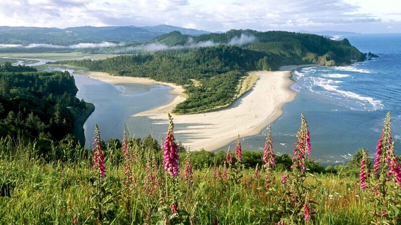 river mouth at coastal estuary