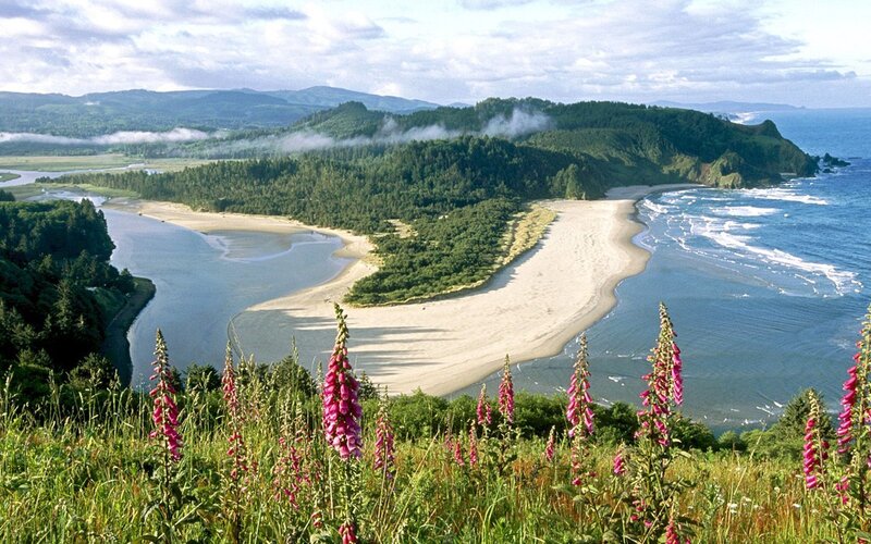 river mouth at coastal sandbar