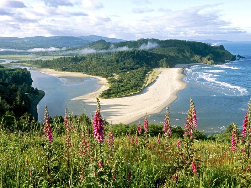 River Mouth at Coastline