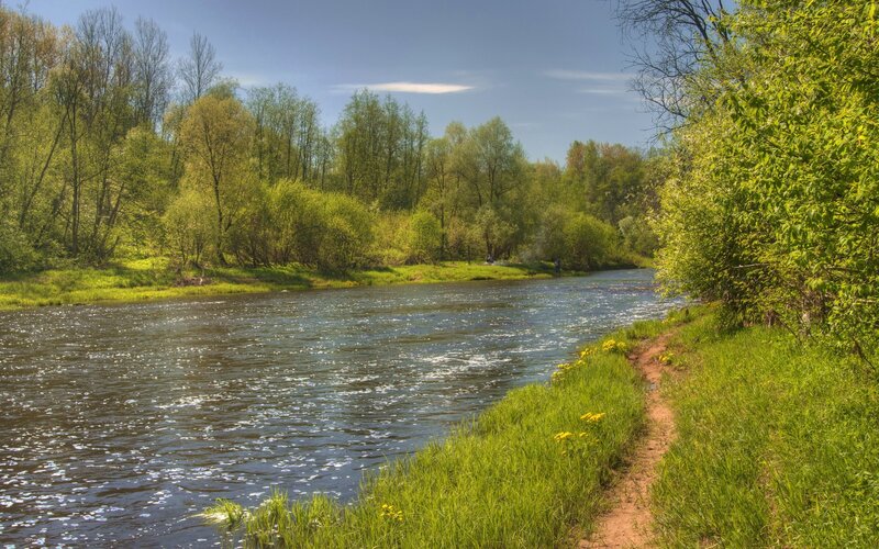 River path in spring forest
