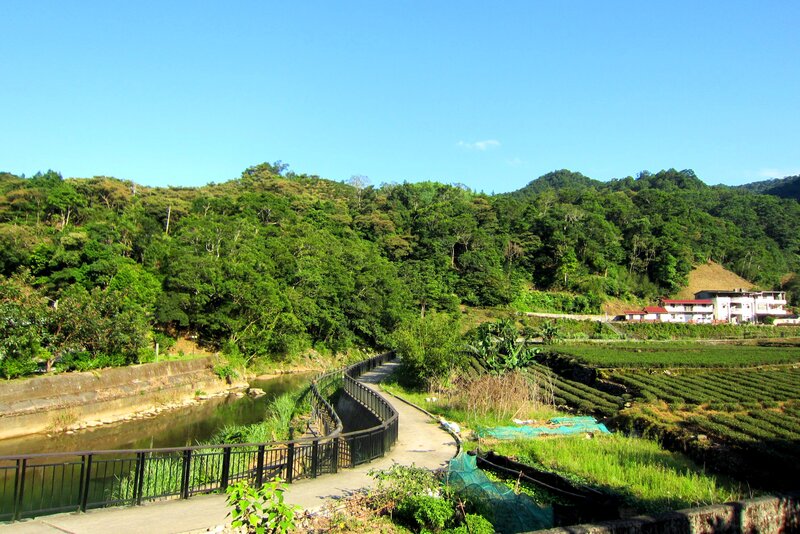 River Path in Valley