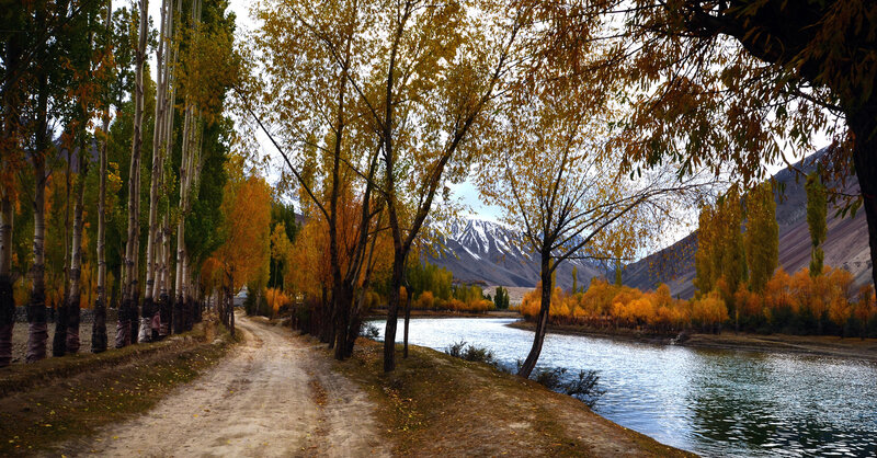 River Path with Autumn Trees