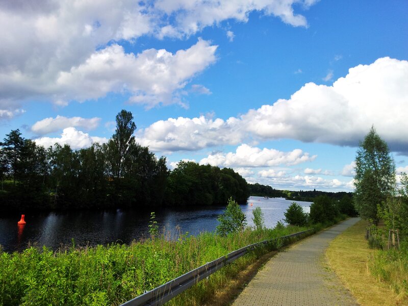 River Path with Trees — Blue
