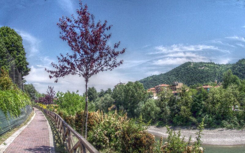 River Path with Trees — Green