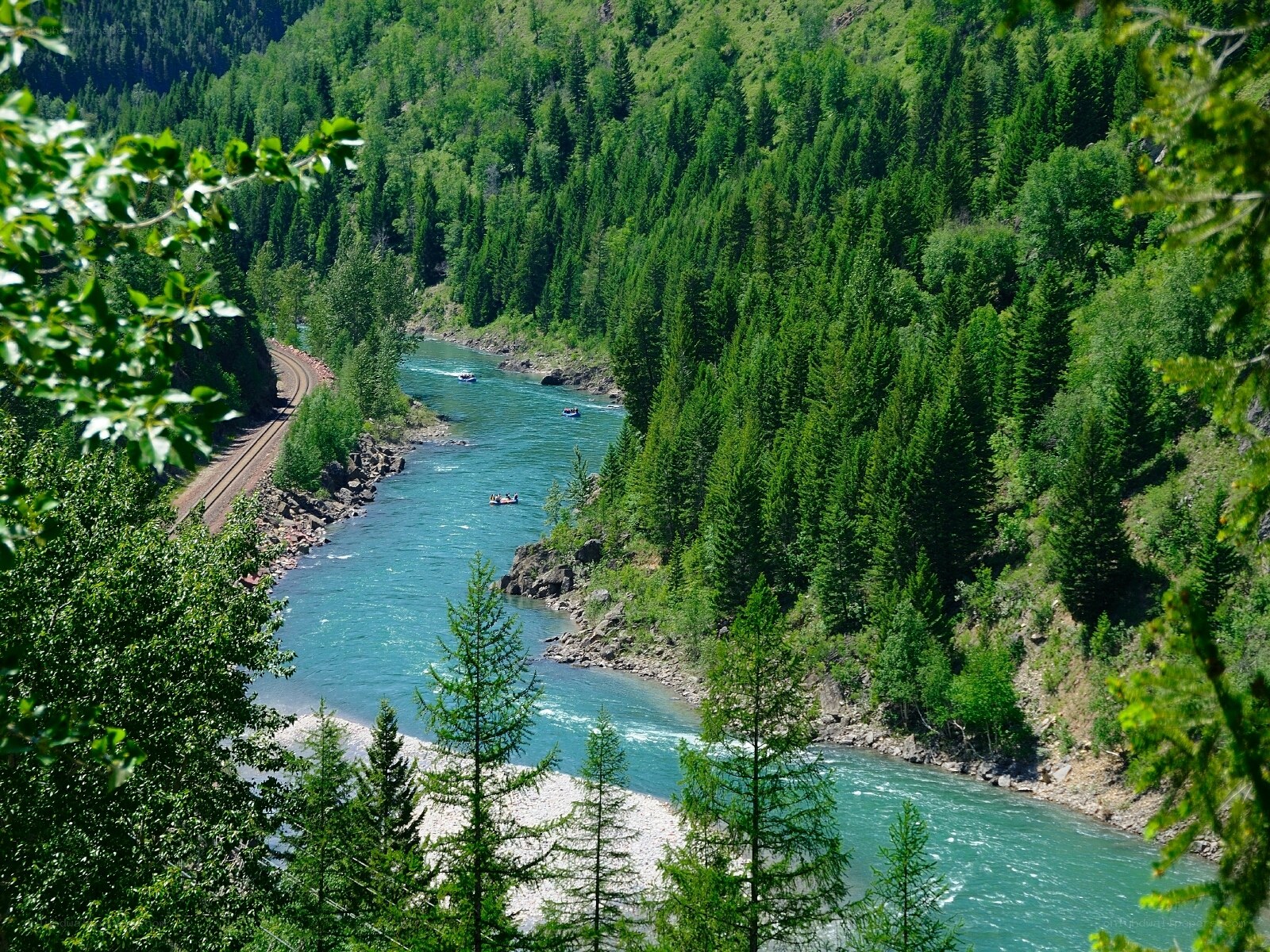 River rafting in a forested valley