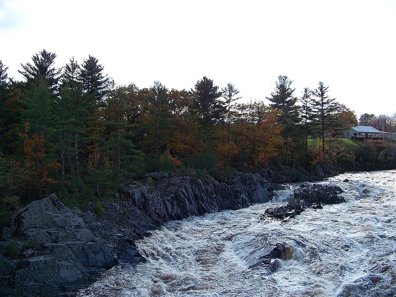 River Rapids and Forest