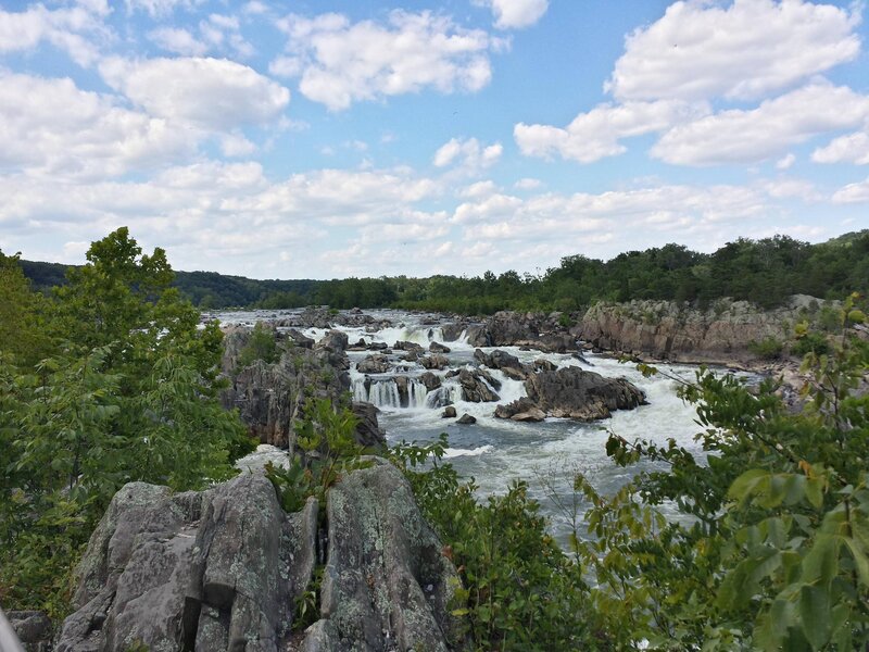 River Rapids and Rocks — Green