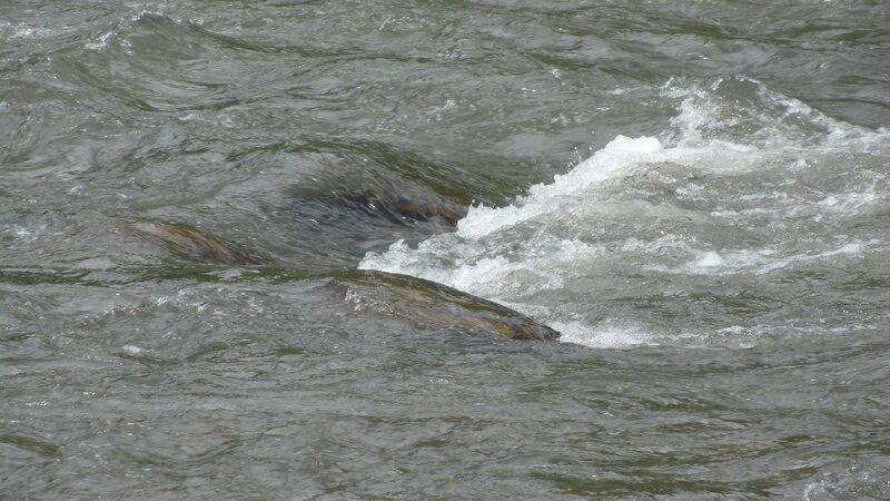 River Rapids — Gray, Dynamic