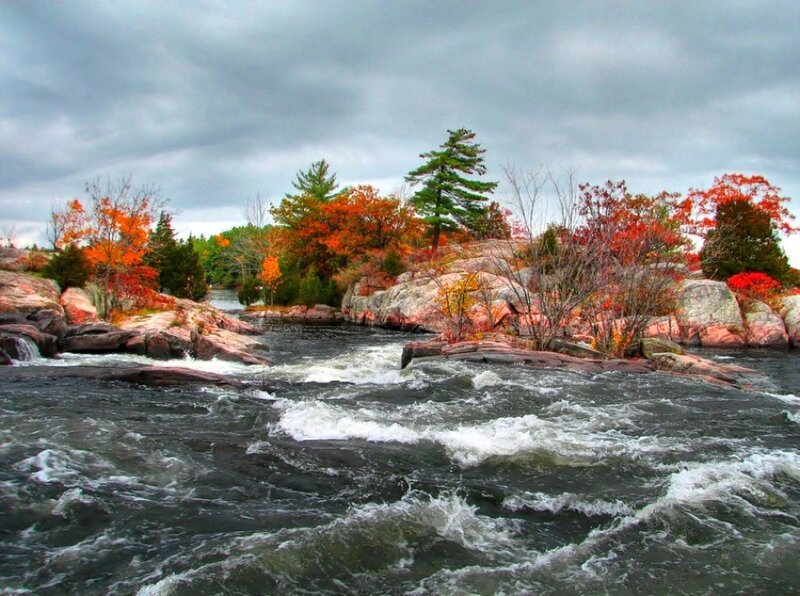 River rapids in autumn