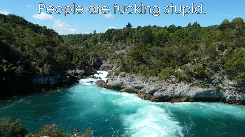 river rapids in forest