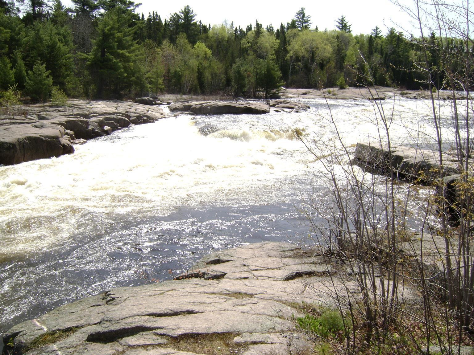 river rapids in forest