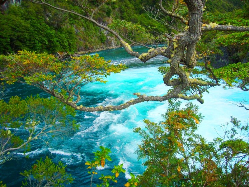 River Rapids in Forest — Blue, Natural