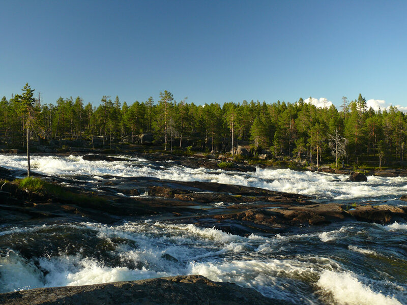 River Rapids in Forest — Blue, Serene
