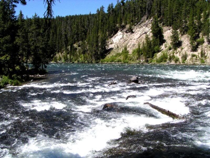 River Rapids in Forest — Blue