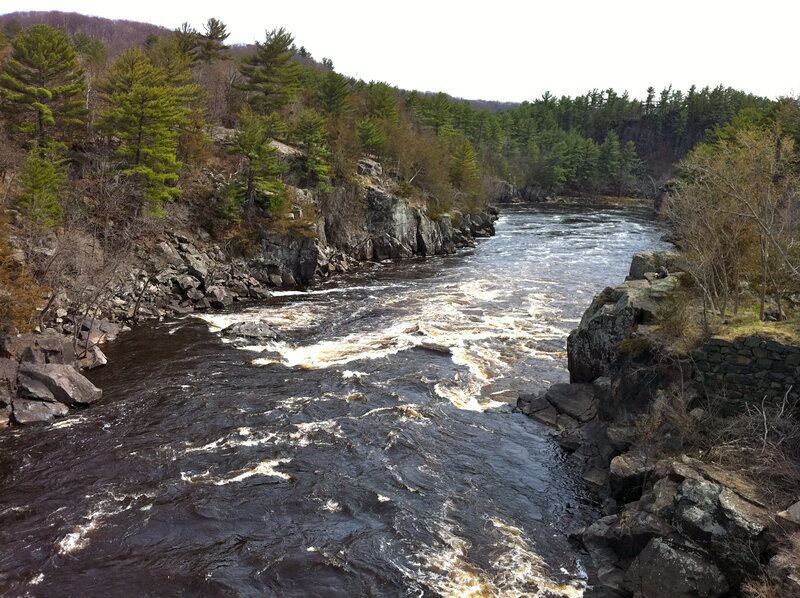 River Rapids in Forest — Brown