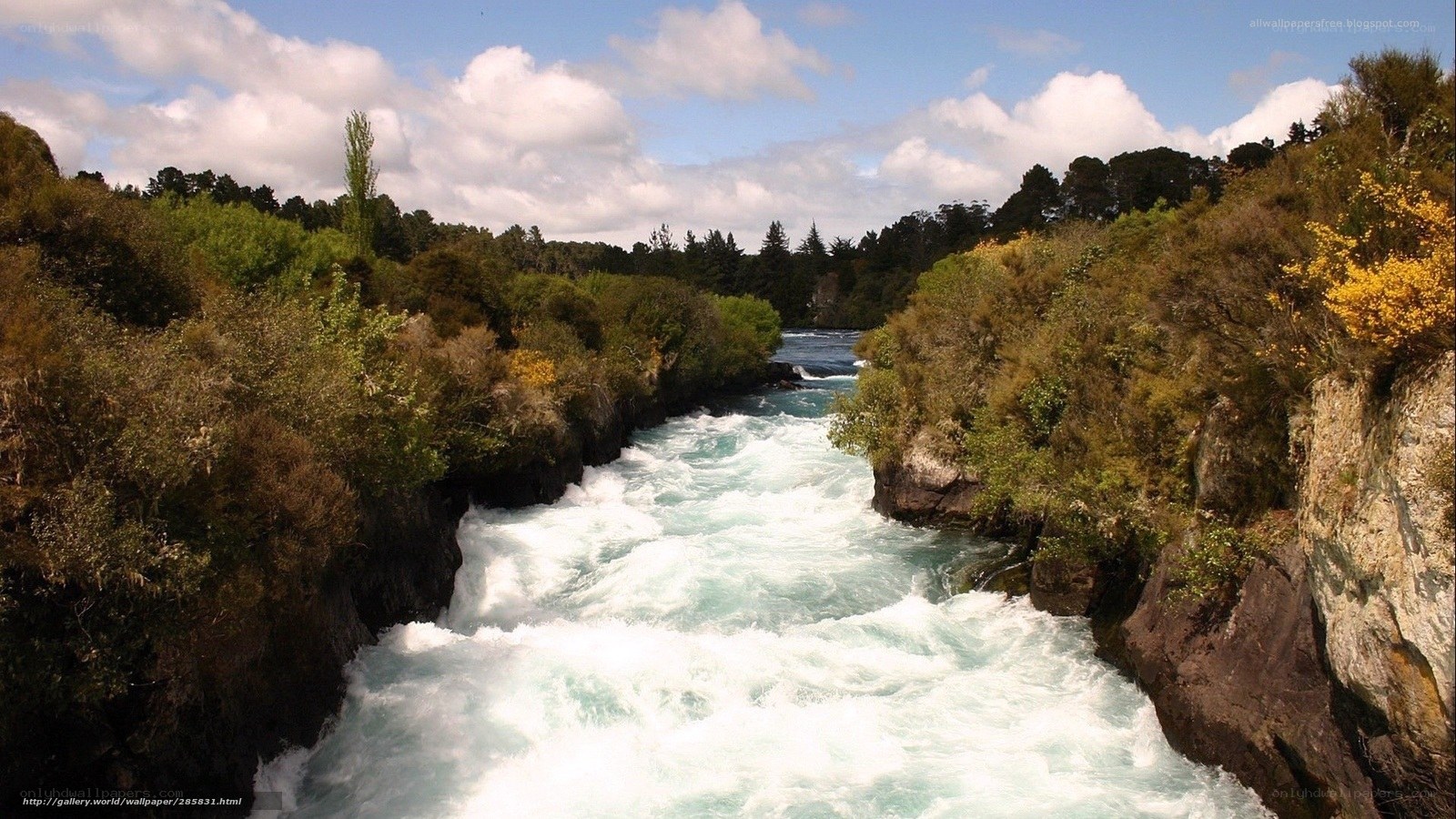 river rapids in forest canyon
