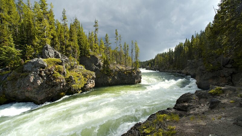 River Rapids in Forest — Green, Dramatic, Afternoon