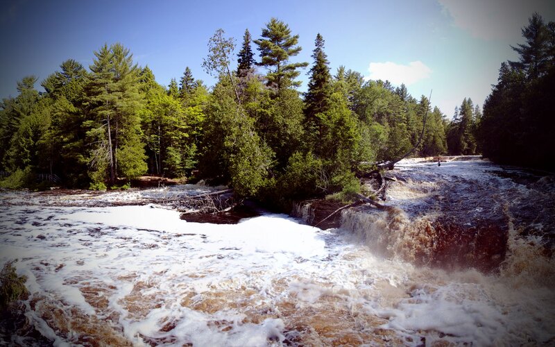 River Rapids in Forest — Green, Dynamic, Afternoon