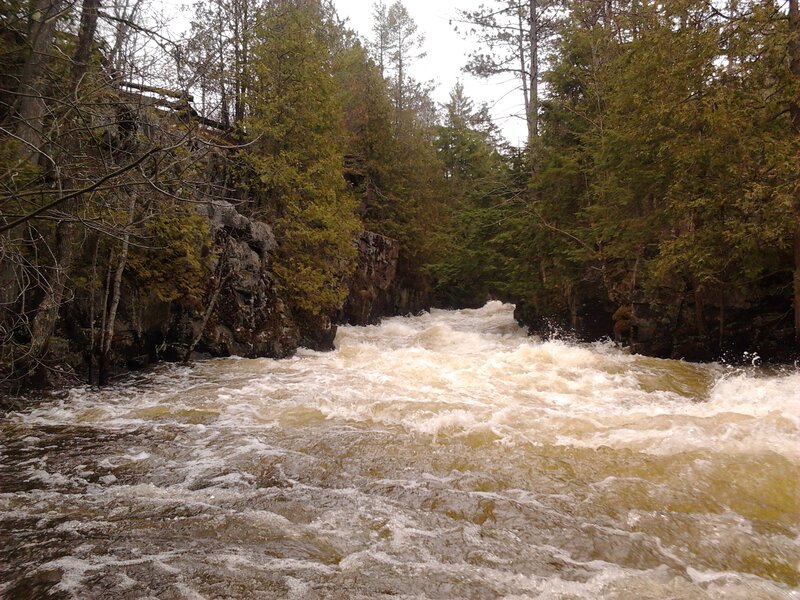 River Rapids in Forest — Green, Dynamic