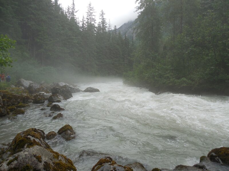 River Rapids in Forest — Green, Misty