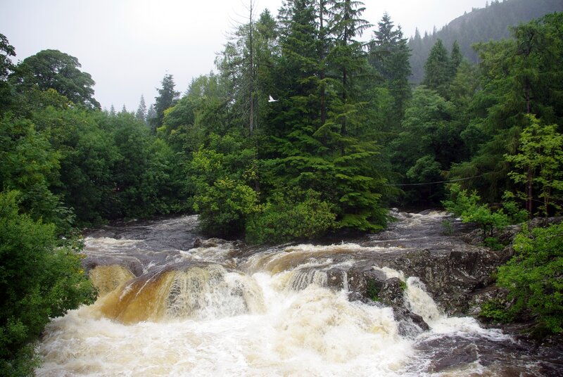 River Rapids in Forest — Green, Rugged