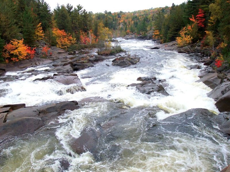 River Rapids in Forest — Green