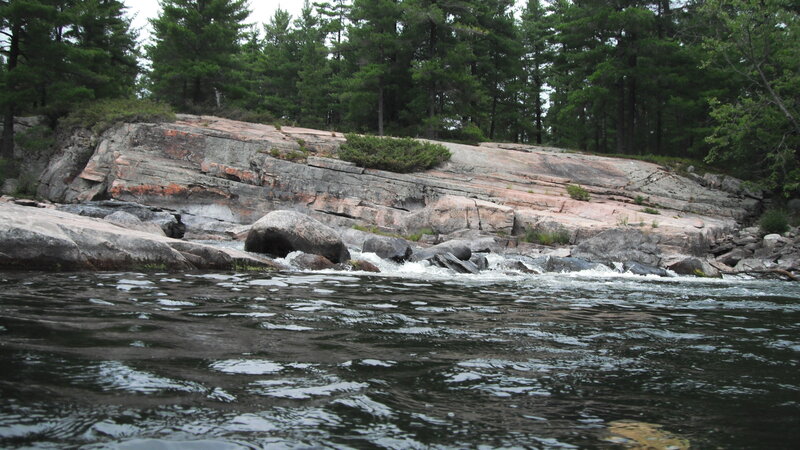 river rapids in forested area