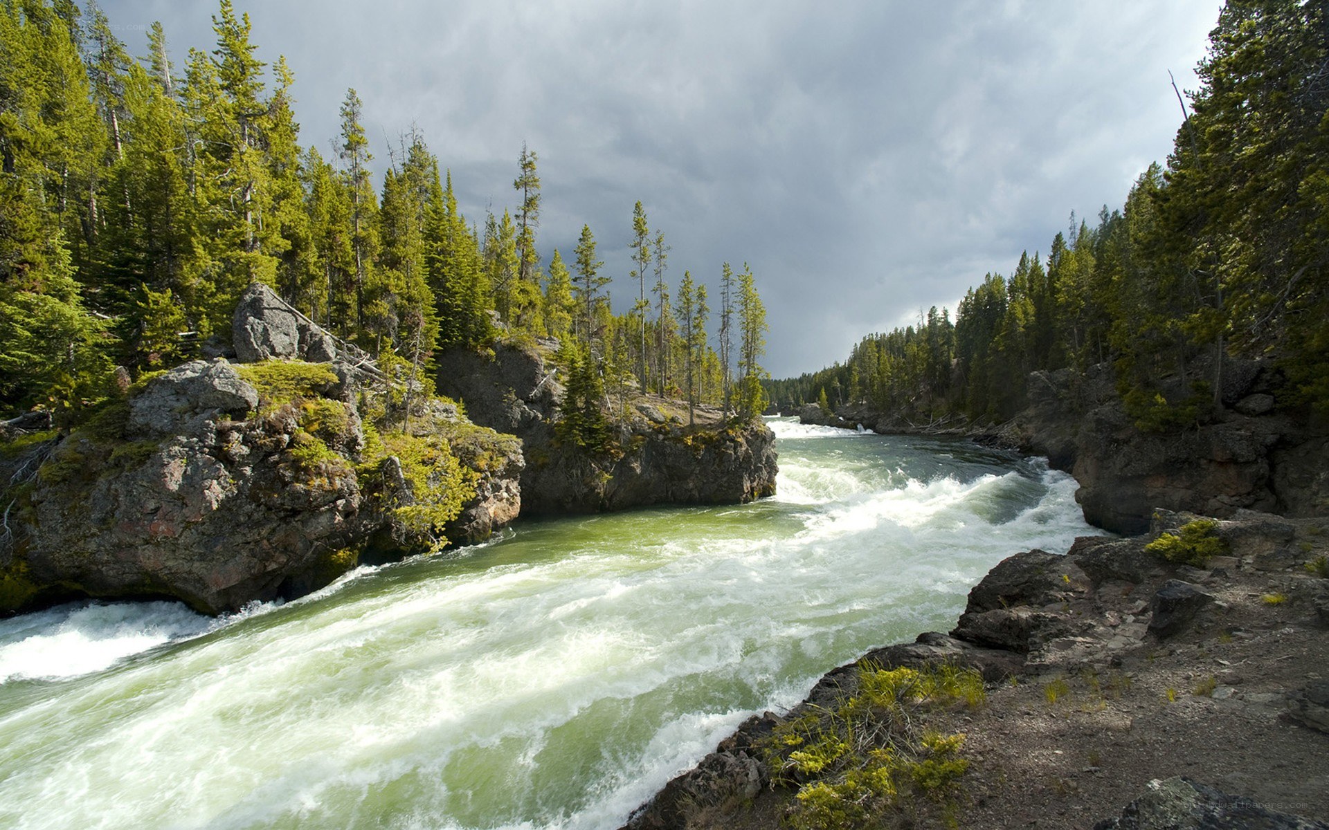river rapids in forested canyon