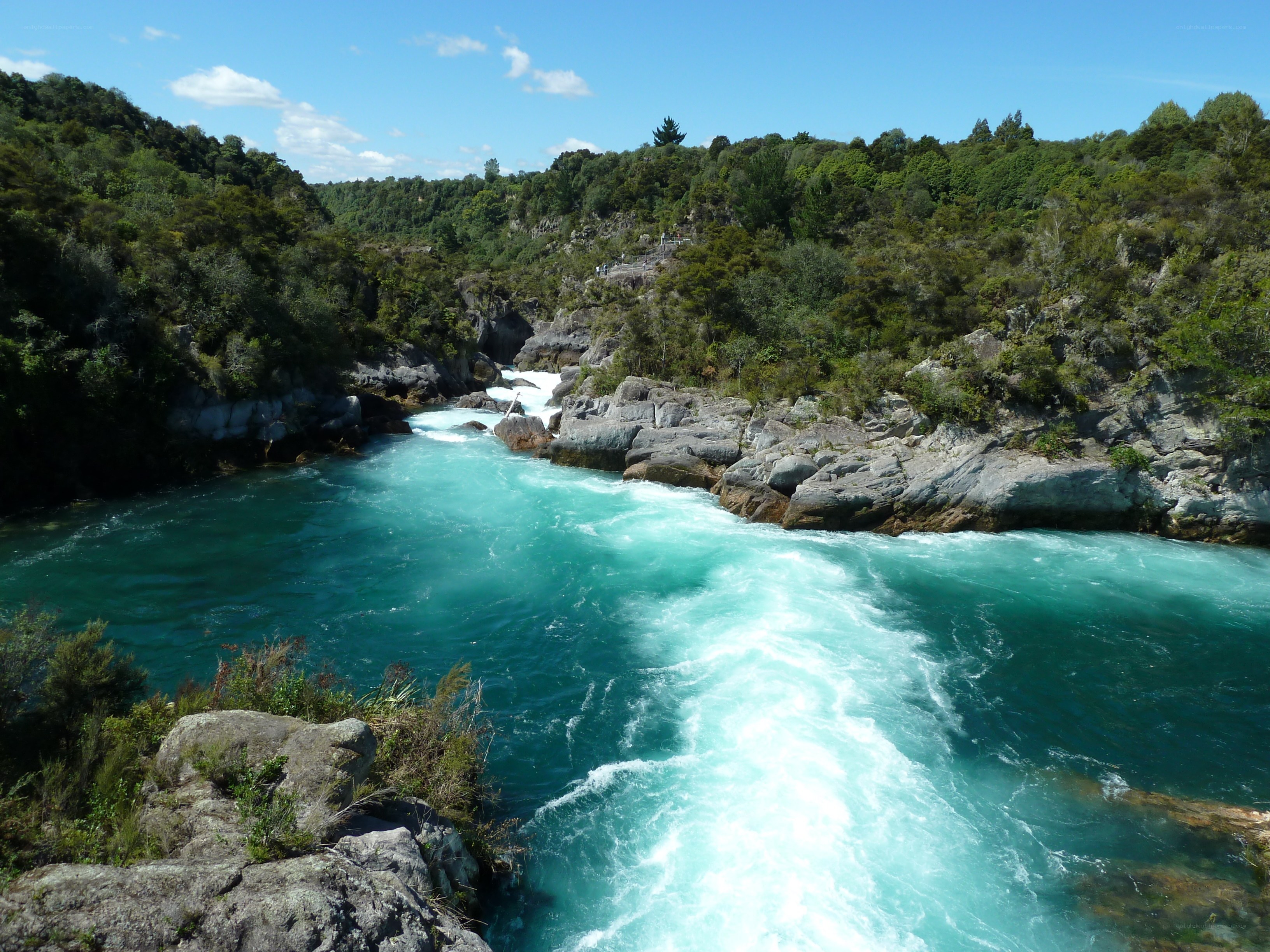river rapids in forested canyon