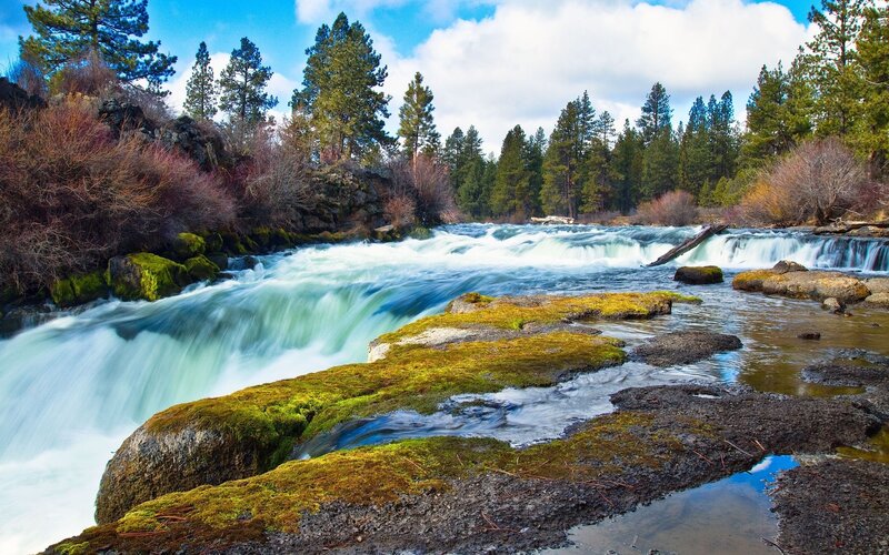 River rapids in forested landscape