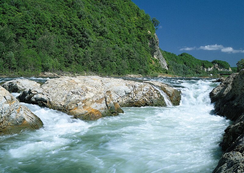 river rapids in forested valley