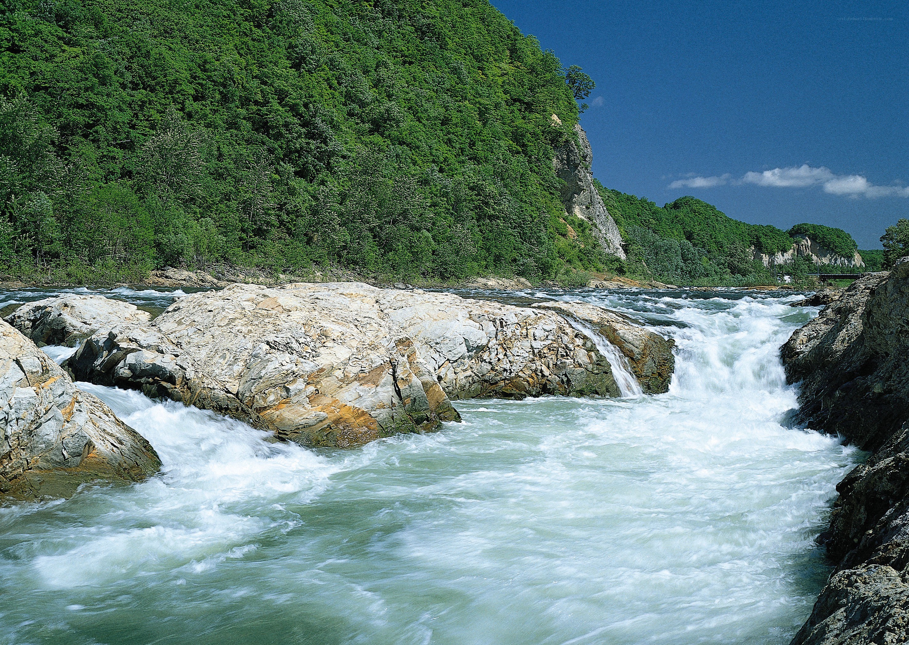 river rapids in forested valley
